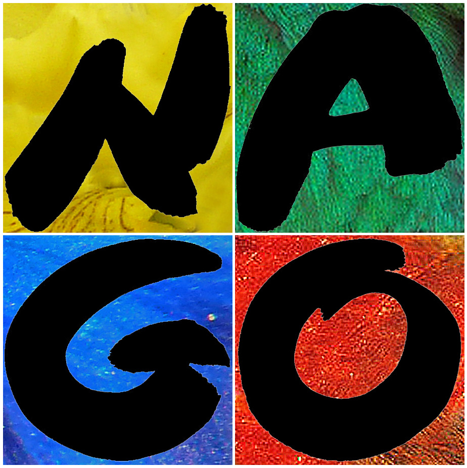 Logo NAGO Osttirol